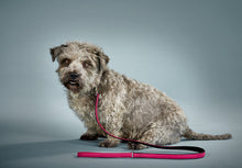 Lade das Bild in den Galerie-Viewer, Set Wildberry