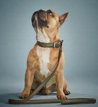 Lade das Bild in den Galerie-Viewer, Set Oliv