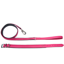Lade das Bild in den Galerie-Viewer, Dogvibes- Set bestehend aus Lederhalsband mit passender Leine in der Farbe Wildberry