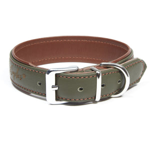 Dogvibes- Lederhalsband in der Farbe Oliv