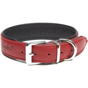 Dogvibes- Das Lederhalsband in Bordeaux